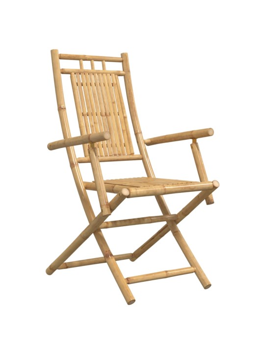 Skládací zahradní židle 2 ks 53 x 66 x 99 cm bambus