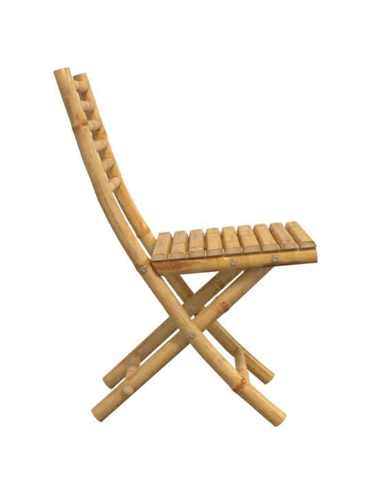 Skládací zahradní židle 2 ks 43 x 54 x 88 cm bambus