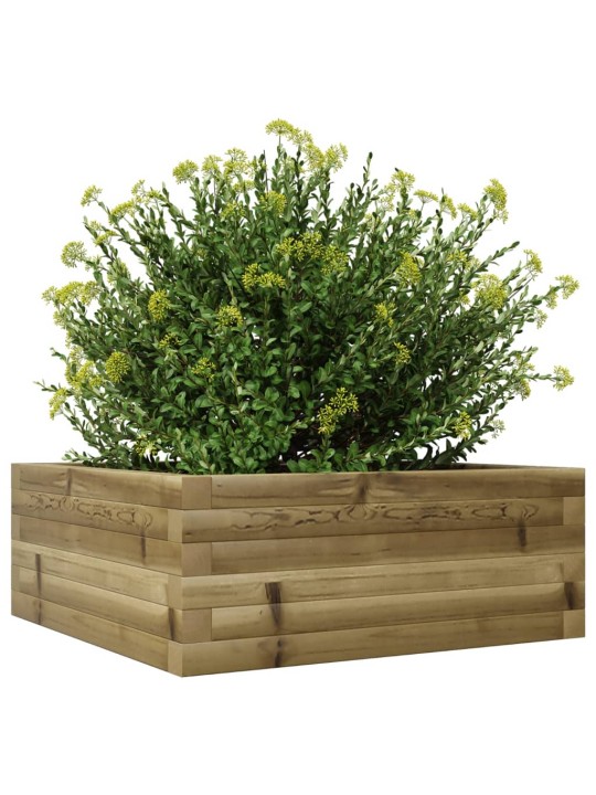 Zahradní truhlík 60 x 60 x 23 cm impregnované borové dřevo