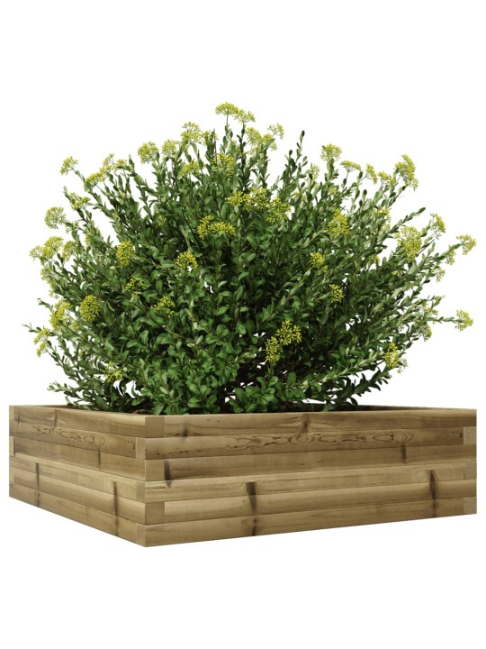 Zahradní truhlík 80 x 80 x 23 cm impregnované borové dřevo