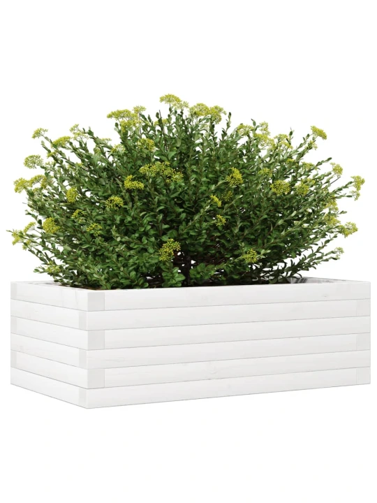 Zahradní truhlík bílý 70 x 40 x 23 cm masivní borové dřevo