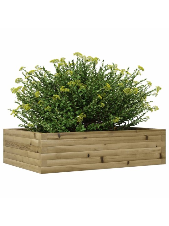 Zahradní truhlík 90 x 60 x 23 cm impregnované borové dřevo