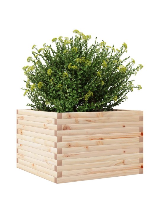 Zahradní truhlík 70 x 70 x 45,5 cm masivní borové dřevo