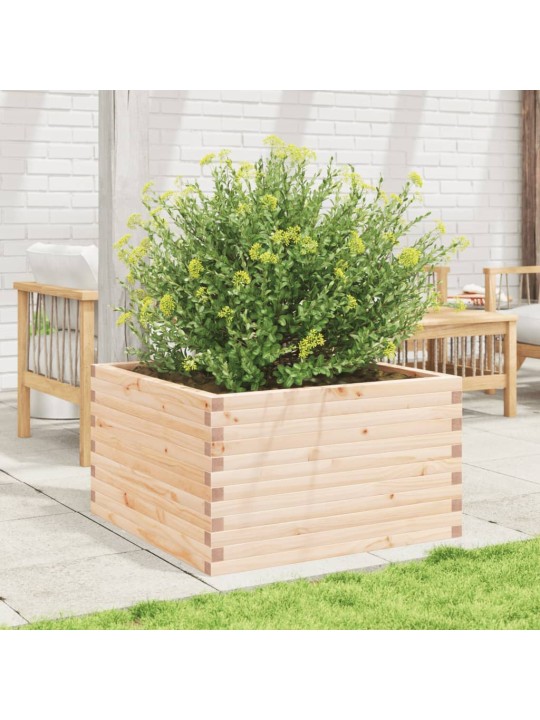 Zahradní truhlík 80 x 80 x 45,5 cm masivní borové dřevo