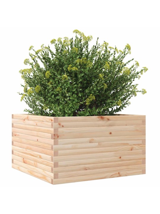 Zahradní truhlík 80 x 80 x 45,5 cm masivní borové dřevo