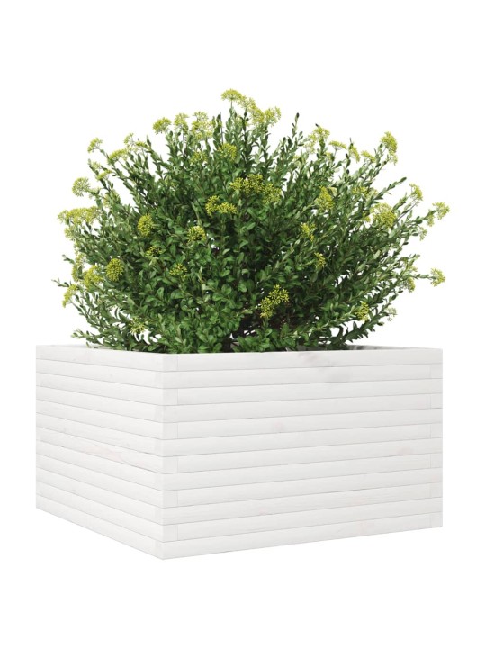 Zahradní truhlík bílý 80 x 80 x 45,5 cm masivní borové dřevo