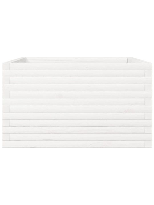 Zahradní truhlík bílý 80 x 80 x 45,5 cm masivní borové dřevo
