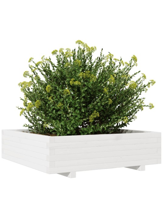 Zahradní truhlík bílý 90 x 90 x 26,5 cm masivní borové dřevo