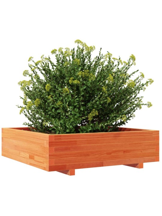 Zahradní truhlík voskově hnědý 90x90x26,5 cm masivní borovice