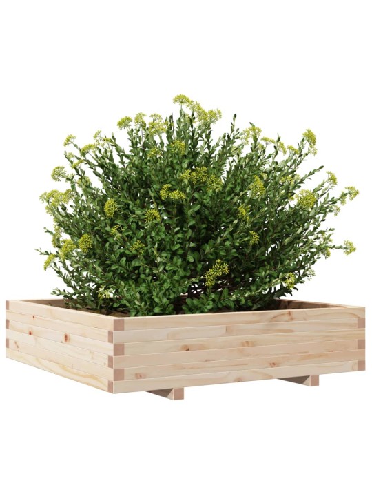 Zahradní truhlík 100 x 100 x 26,5 cm masivní borové dřevo