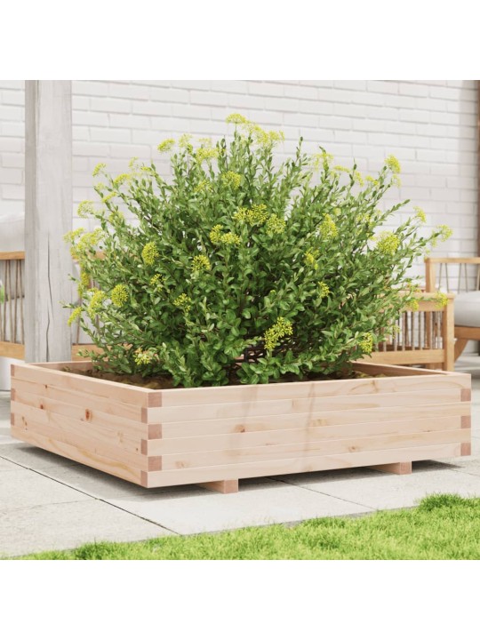 Zahradní truhlík 100 x 100 x 26,5 cm masivní borové dřevo