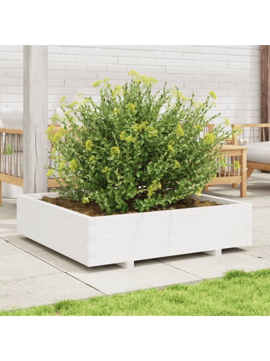 Zahradní truhlík bílý 100 x 100 x 26,5 cm masivní borové dřevo