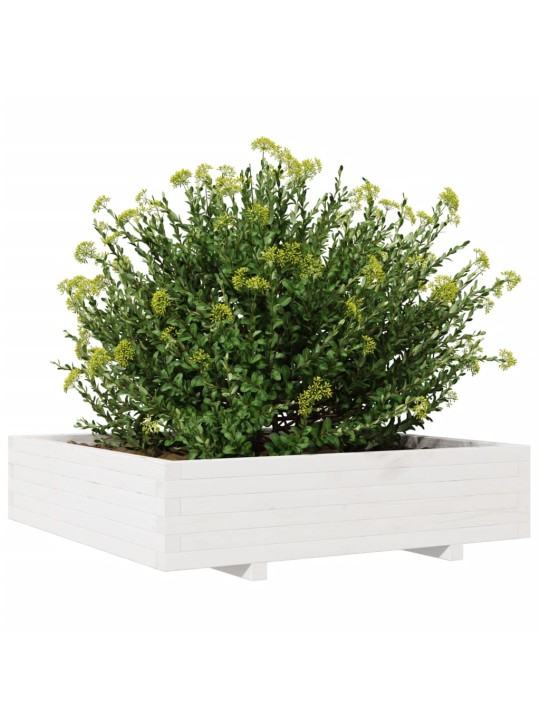 Zahradní truhlík bílý 100 x 100 x 26,5 cm masivní borové dřevo