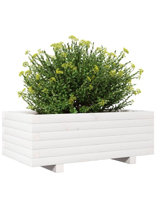 Zahradní truhlík bílý 70 x 40 x 26,5 cm masivní borovice