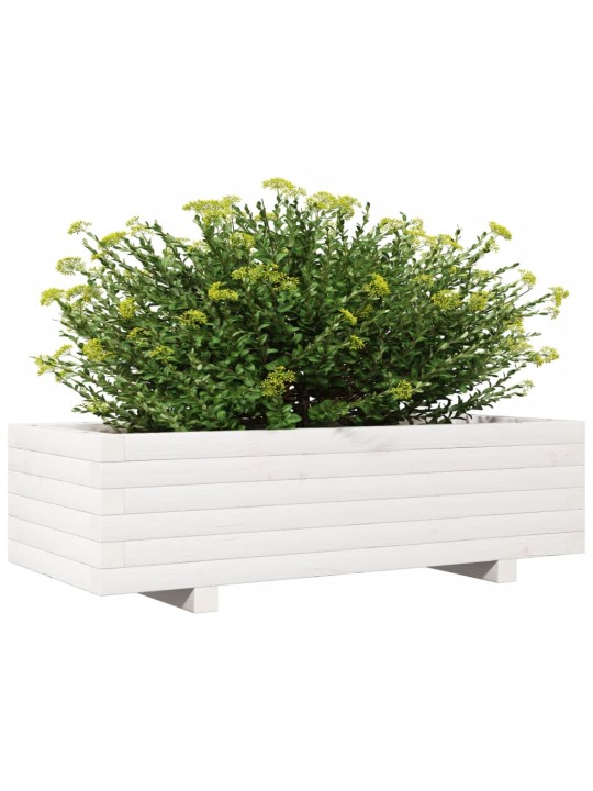 Zahradní truhlík bílý 90 x 40 x 26,5 cm masivní borové dřevo