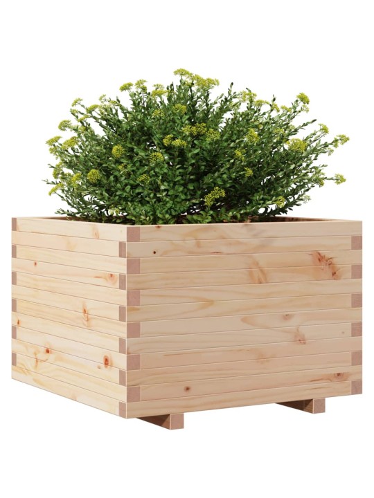 Zahradní truhlík 70 x 70 x 49,5 cm masivní borové dřevo