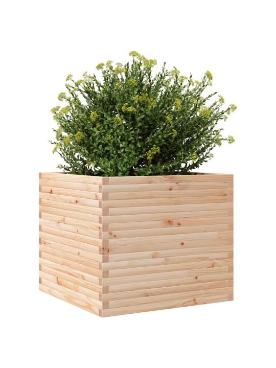 Zahradní truhlík 80 x 80 x 68,5 cm masivní borové dřevo