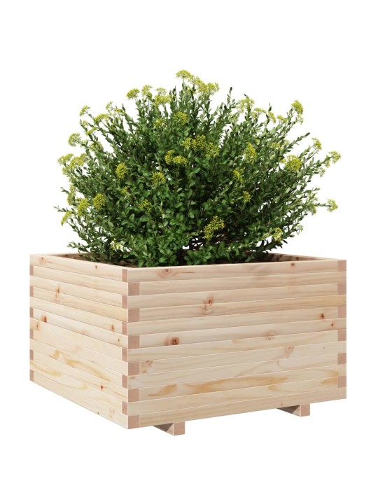 Zahradní truhlík 80 x 80 x 49,5 cm masivní borové dřevo