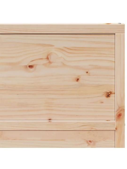 Posuvné dveře 100 x 208 cm masivní borové dřevo
