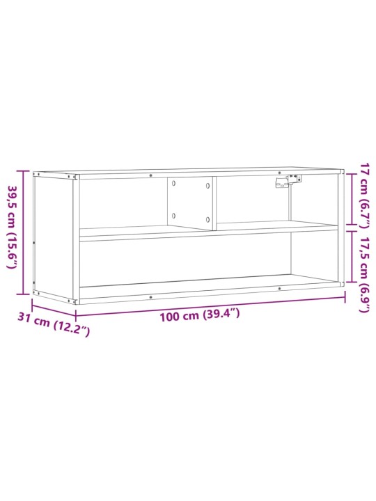 TV skříňka černá 100 x 31 x 39,5 cm kompozitní dřevo a kov