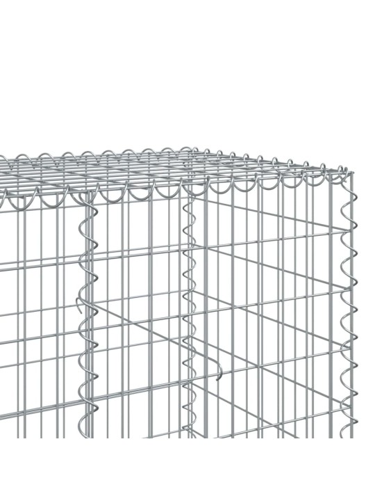 Gabionový koš s víkem 300 x 100 x 100 cm pozinkované železo