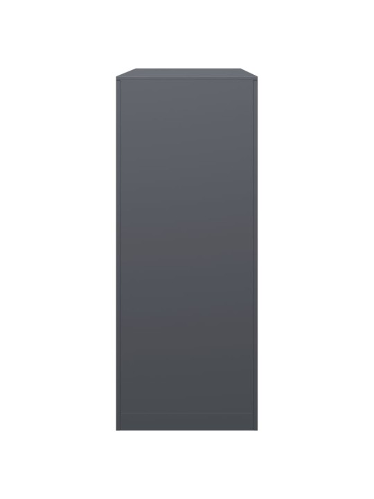 Stojan na palivové dřevo antracitový 100 x 40 x 100 cm ocel
