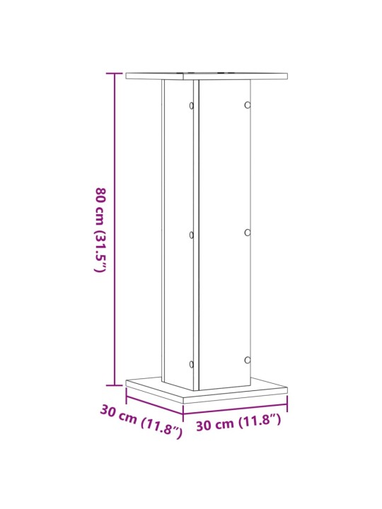 Stojany na reproduktory 2 ks dub sonoma 30x30x80 cm kompozit