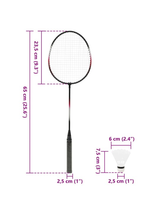 Badmintonová sada se 2 raketami, sítí a kufrem 292x30x152 cm