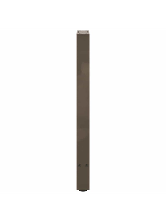 Nohy konzolového stolku z přírodní oceli 2 ks 28 x (72-73) cm ocel