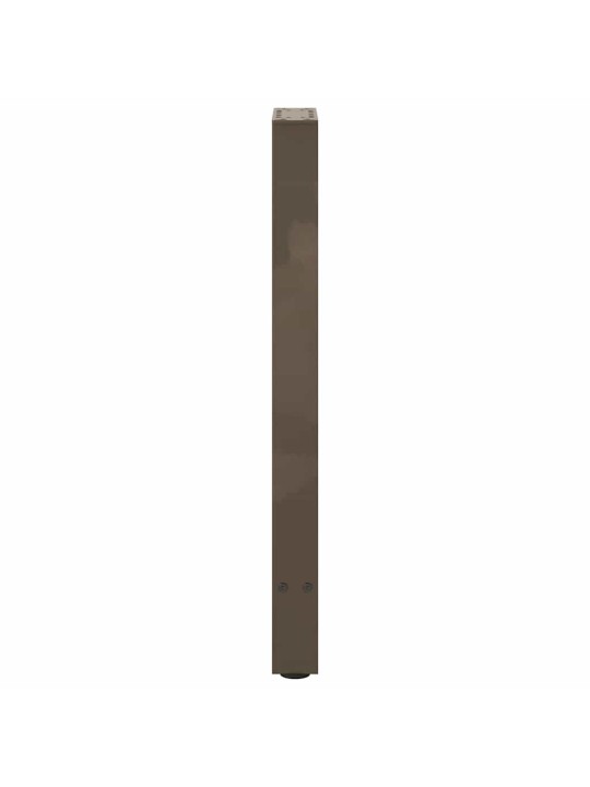 Nohy konzolového stolku z přírodní oceli 2 ks 38 x (72-73) cm ocel