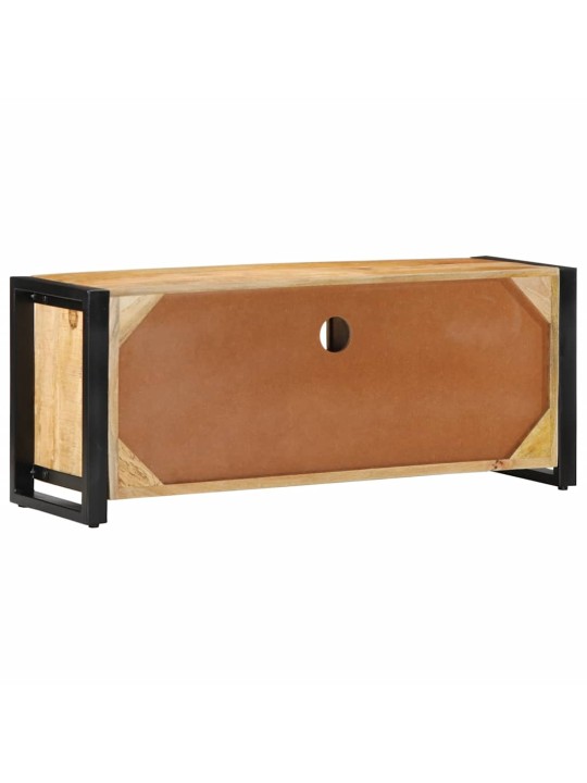 Tv skříňka 100x30x40 cm masivní hrubé mangovníkové dřevo
