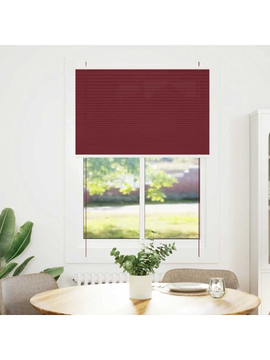 Plisovaná roleta bordeauxská červená 90x100 cm šířka látky