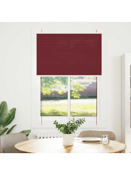 Plisovaná roleta bordeauxská červená 95x100 cm šířka látky