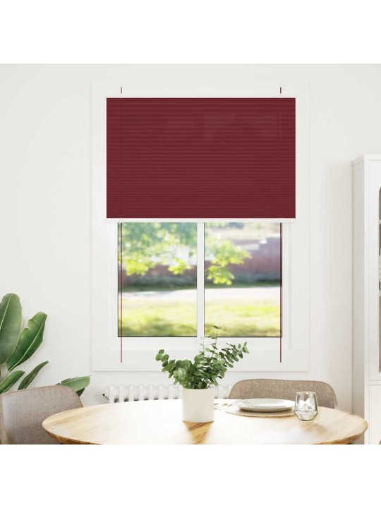 Plisovaná roleta bordeauxská červená 100x150 cm šířka látky