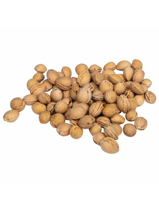 Třešňové pecky pro tepelný polštář 5 kg