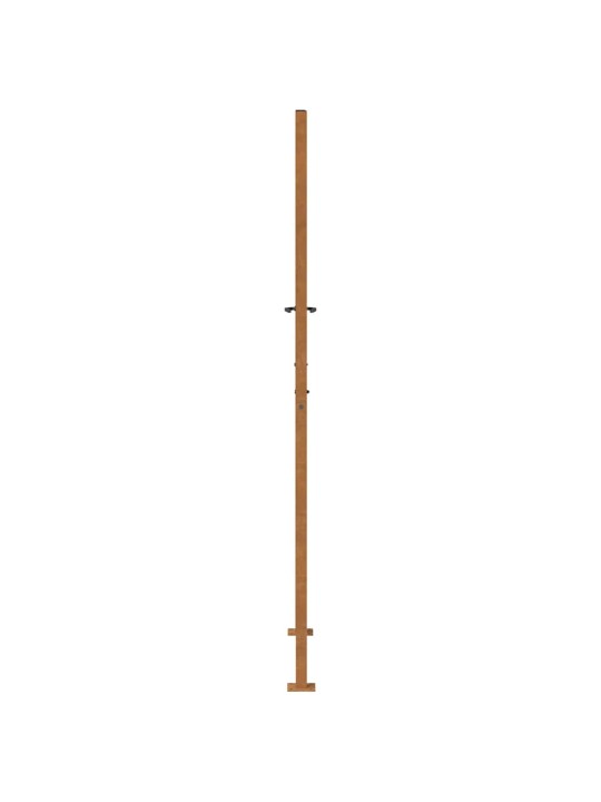 Zahradní branka 105x205 cm klimaticky odolný ocel design lehkou
