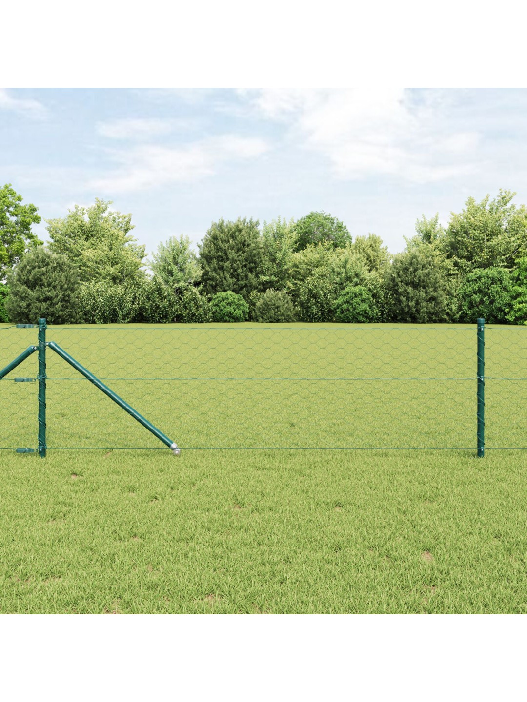 Zelený hexagonální plot 0.8x100 m ocel, zahradní sloupky s hrotem 13 ks ø32 mm 100 cm pozinkovaná ocel