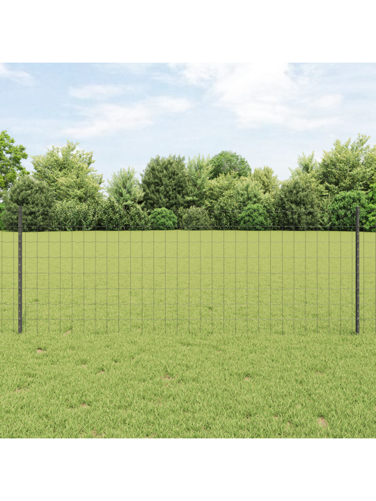 Euro plot s 11 sloupky šedý 0,8x25 m ocel